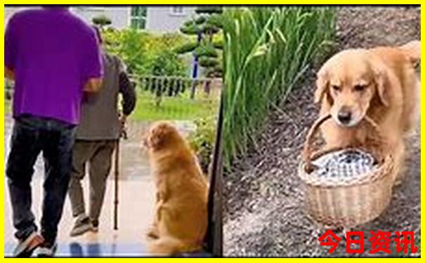 自驾游攻略最佳路线图